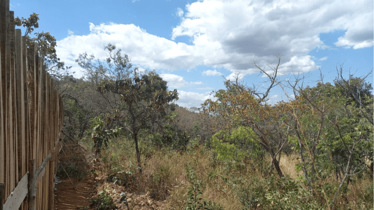 SIDNEY ESTANCIA PARAISO (2)