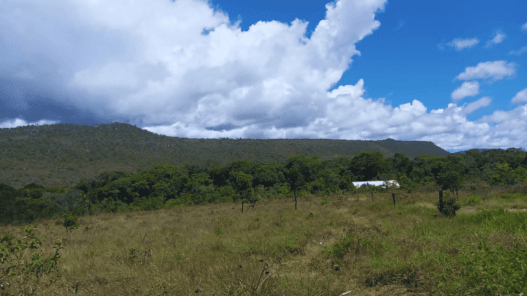 KIKO SÃO BENTO SITE (3)
