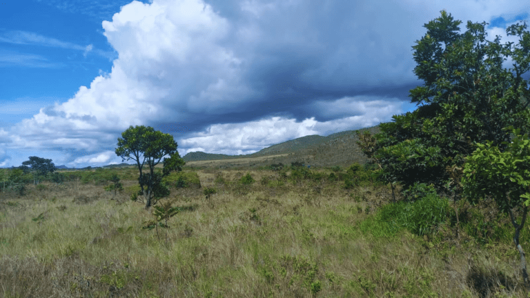 KIKO SÃO BENTO SITE (6)