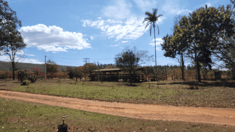 LINDA FAZENDINHA 10 MILI (24)