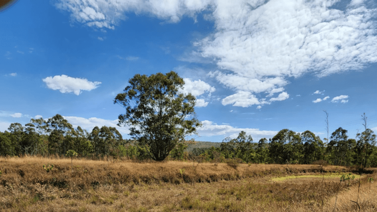 LINDA FAZENDINHA 10 MILI (25)