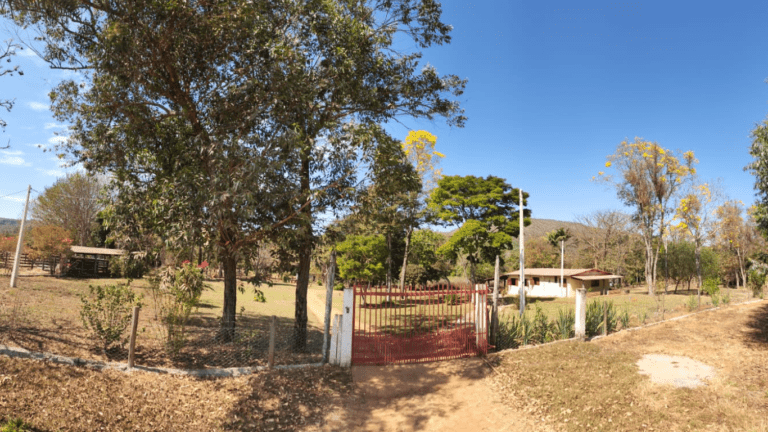 LINDA FAZENDINHA 10 MILI (26)