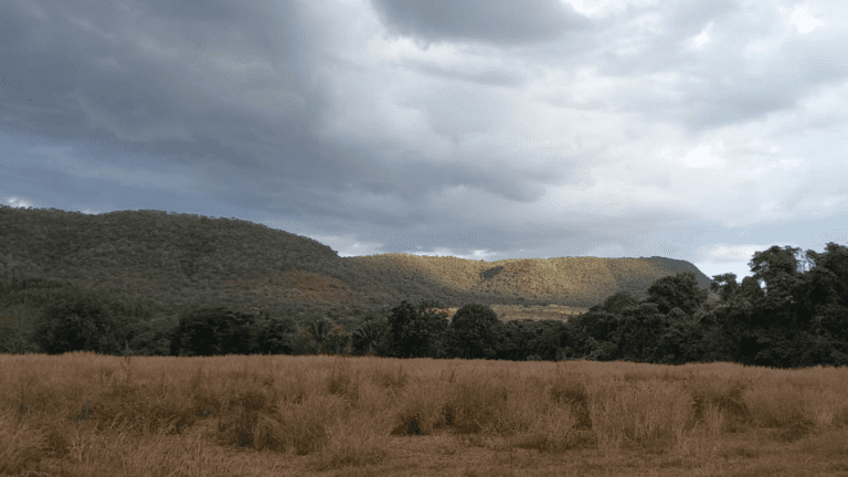 LINDA FAZENDINHA 10 MILI (27)