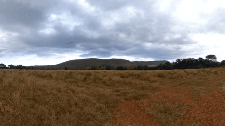 LINDA FAZENDINHA 10 MILI (28)