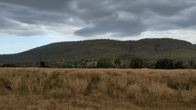 LINDA FAZENDINHA 10 MILI (29)