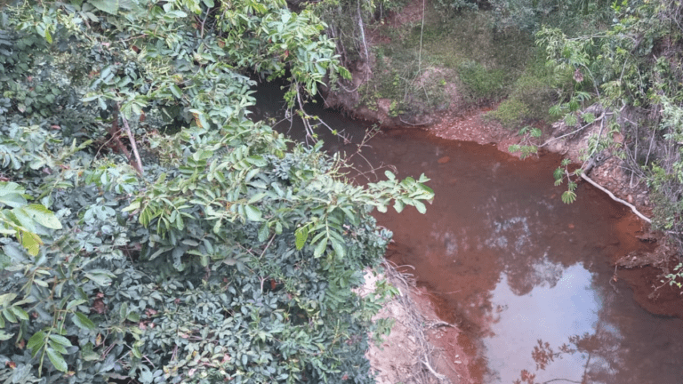 LINDA FAZENDINHA 10 MILI (33)