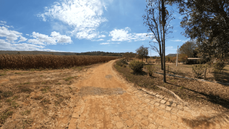 LINDA FAZENDINHA 10 MILI (39)
