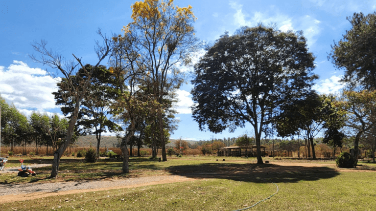 LINDA FAZENDINHA 10 MILI (41)