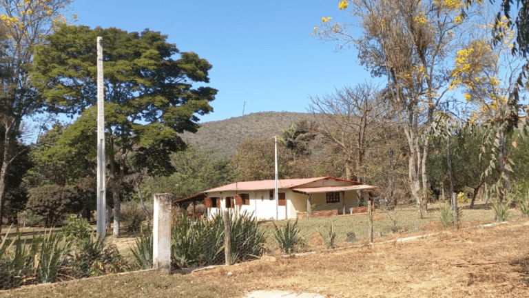 LINDA FAZENDINHA 10 MILI (42)