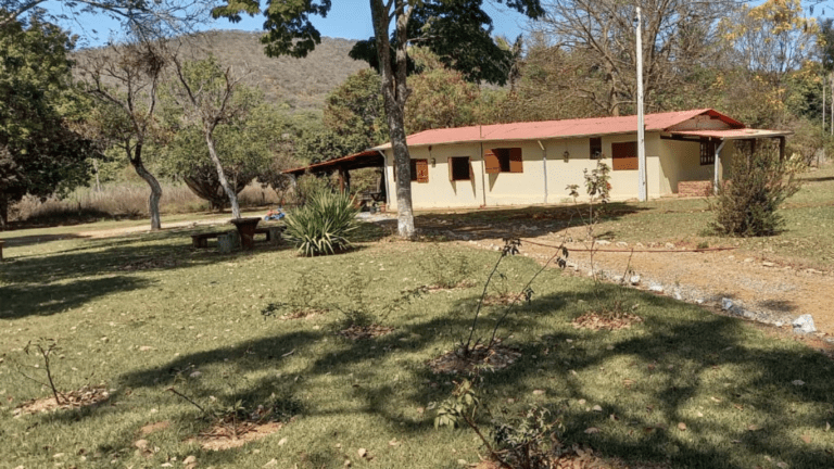 LINDA FAZENDINHA 10 MILI (44)