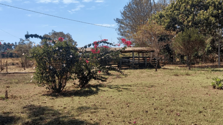 LINDA FAZENDINHA 10 MILI (45)