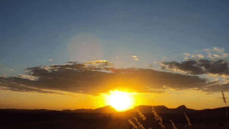 VALE VERDE - BALEIA (3)