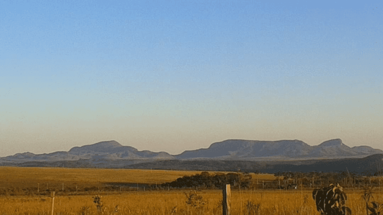 VALE VERDE - BALEIA (4)