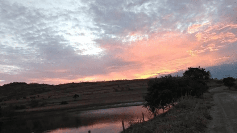 VALE VERDE - BALEIA (6)