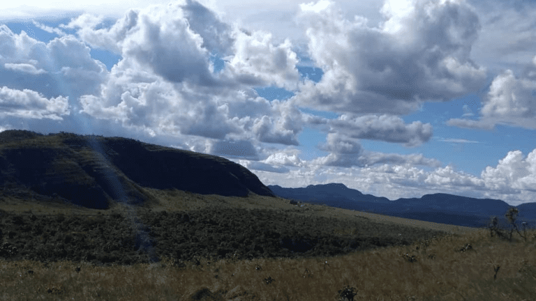 VALE VERDE - BALEIA (7)