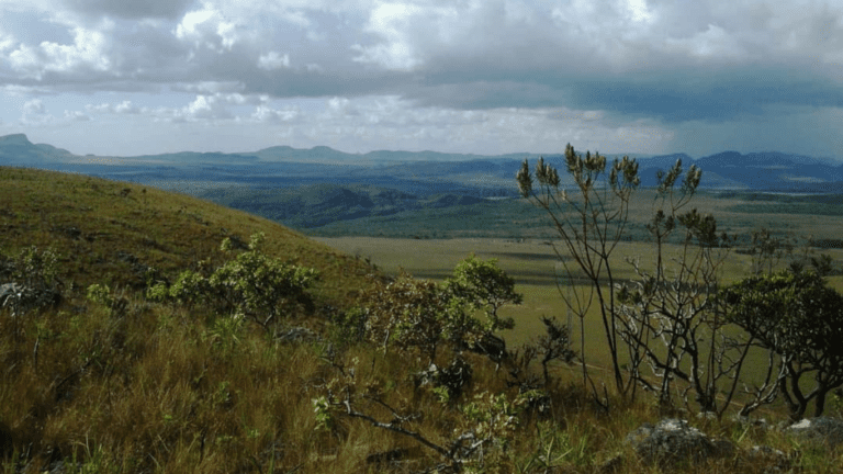 VALE VERDE - BALEIA (8)