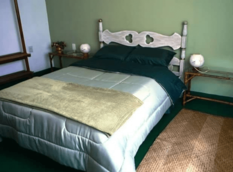 CASA CENTRO ALTO (21)