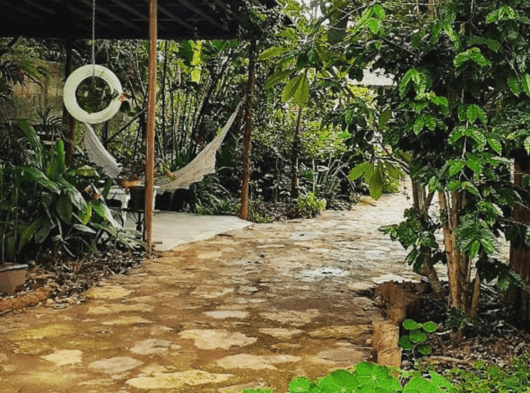 CASA CENTRO ALTO (5)