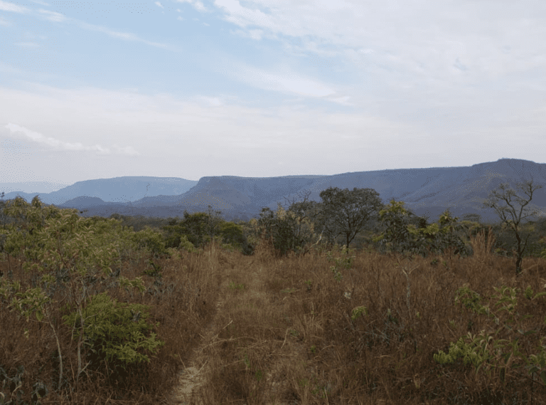 CRISTAIS GO 118 (13)