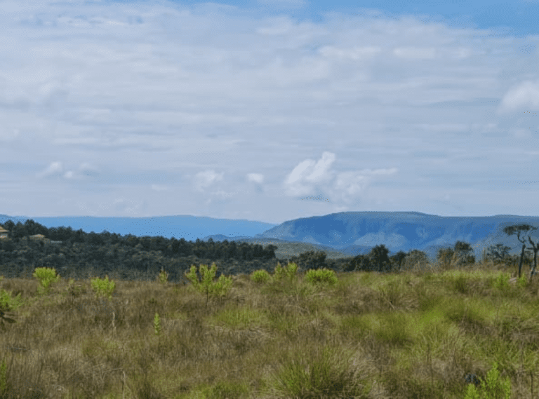 CRISTAIS GO 118 (14)