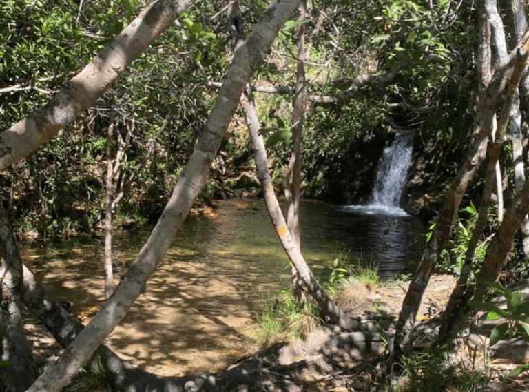 CRISTAIS GO 118 (22)