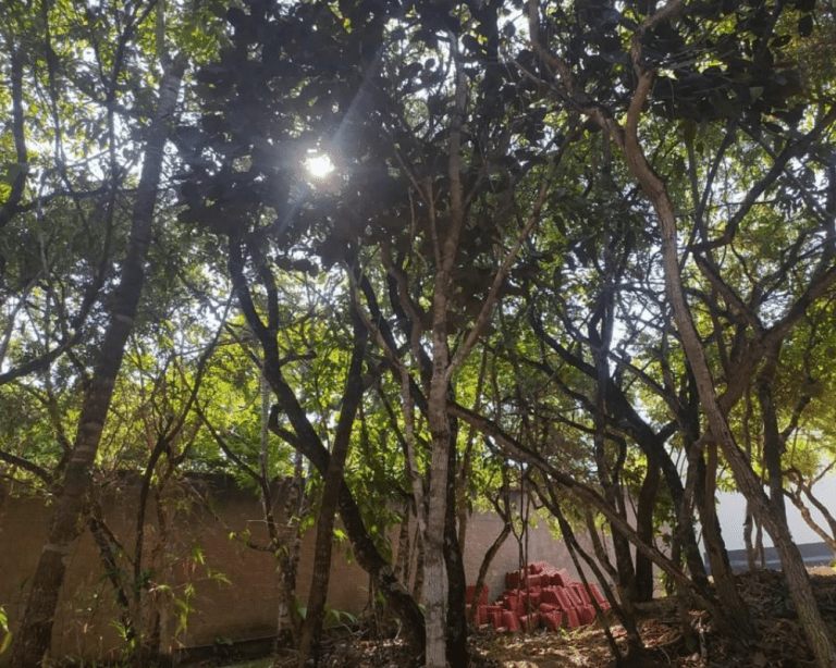 TR EP BRUNO OASIS (8)