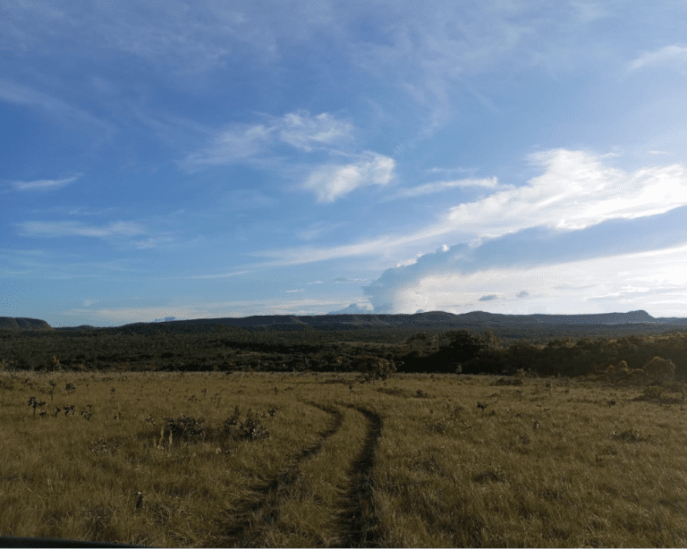 TR RU JES-JÉSSICA (1)