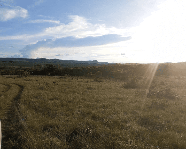 TR RU JES-JÉSSICA (2)