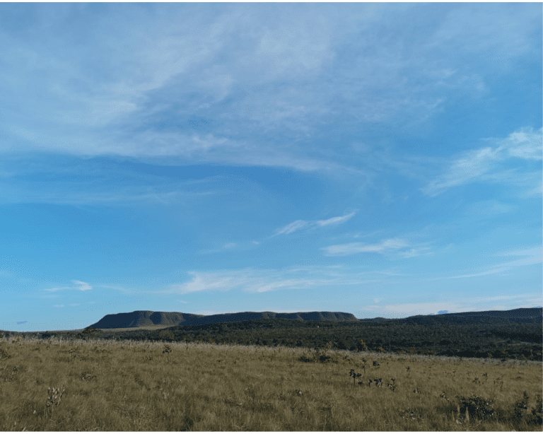 TR RU JES-JÉSSICA (3)