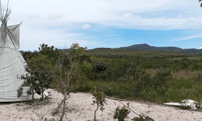 TR RU GO239 BV ISIS (11)