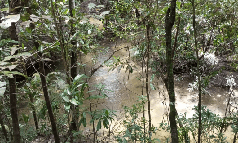 TR RU GO239 BV ISIS (13)