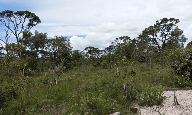 TR RU GO239 BV ISIS (15)