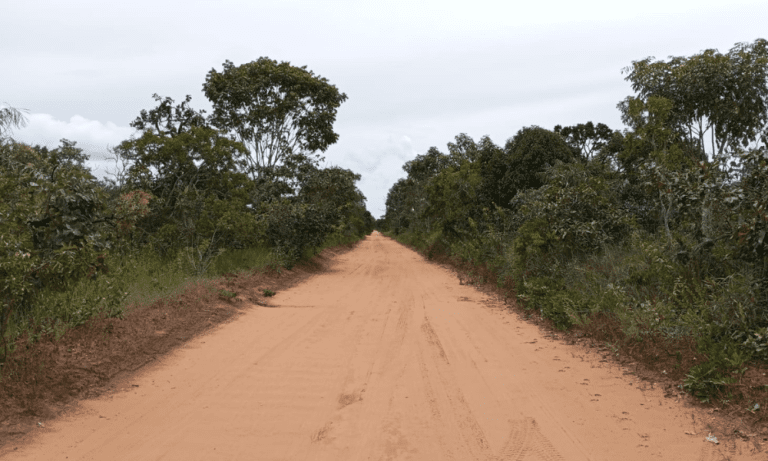 TR RU GO239 BV ISIS (17)