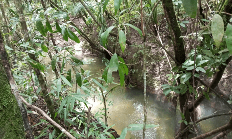 TR RU GO239 BV ISIS (18)