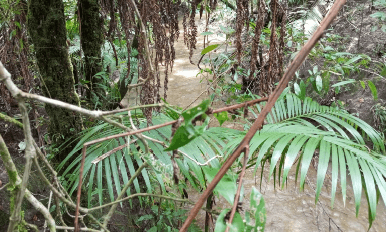 TR RU GO239 BV ISIS (19)