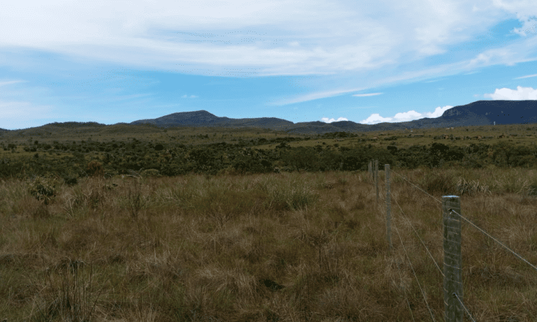 TR RU GO239 BV ISIS (2)