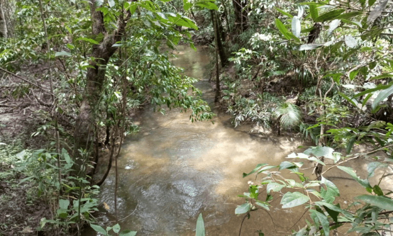 TR RU GO239 BV ISIS (20)