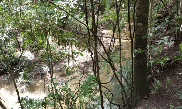 TR RU GO239 BV ISIS (21)