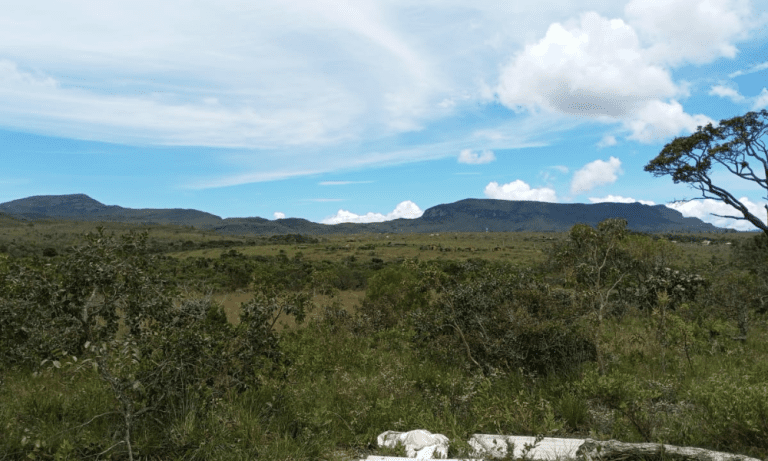 TR RU GO239 BV ISIS (4)