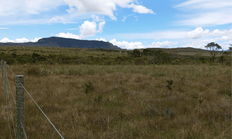 TR RU GO239 BV ISIS (5)