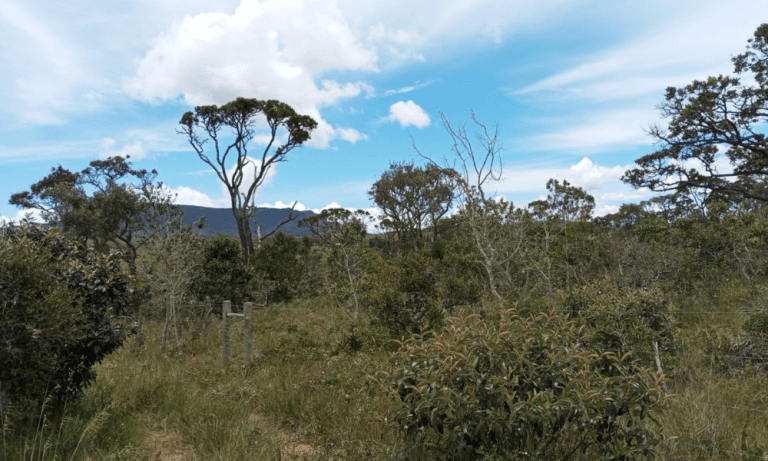 TR RU GO239 BV ISIS (7)