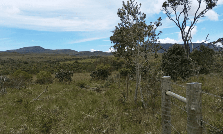 TR RU GO239 BV ISIS (9)