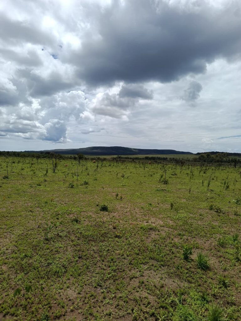 Gleba 04 hectares a 1km da Cachoeira São Bento (14).jfif